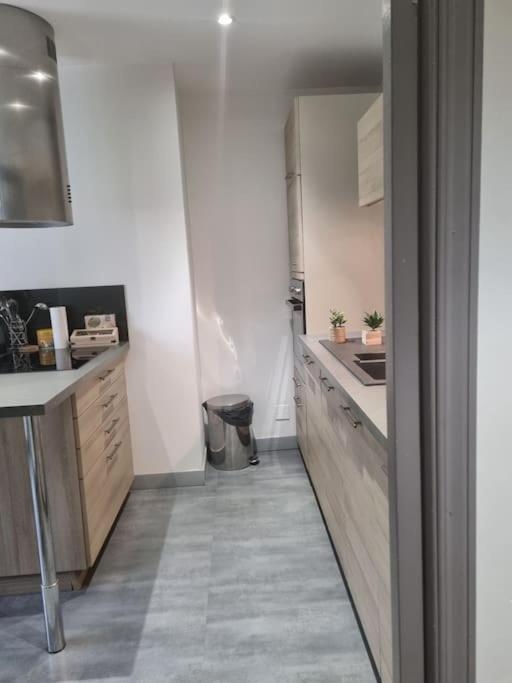 L'Ourse, Epinal,Tres Bel Appartement Quartier Port Екстериор снимка